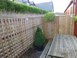 Fencing-Cafe_congburn_nursery