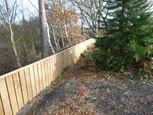 Congburn_nursery_fence